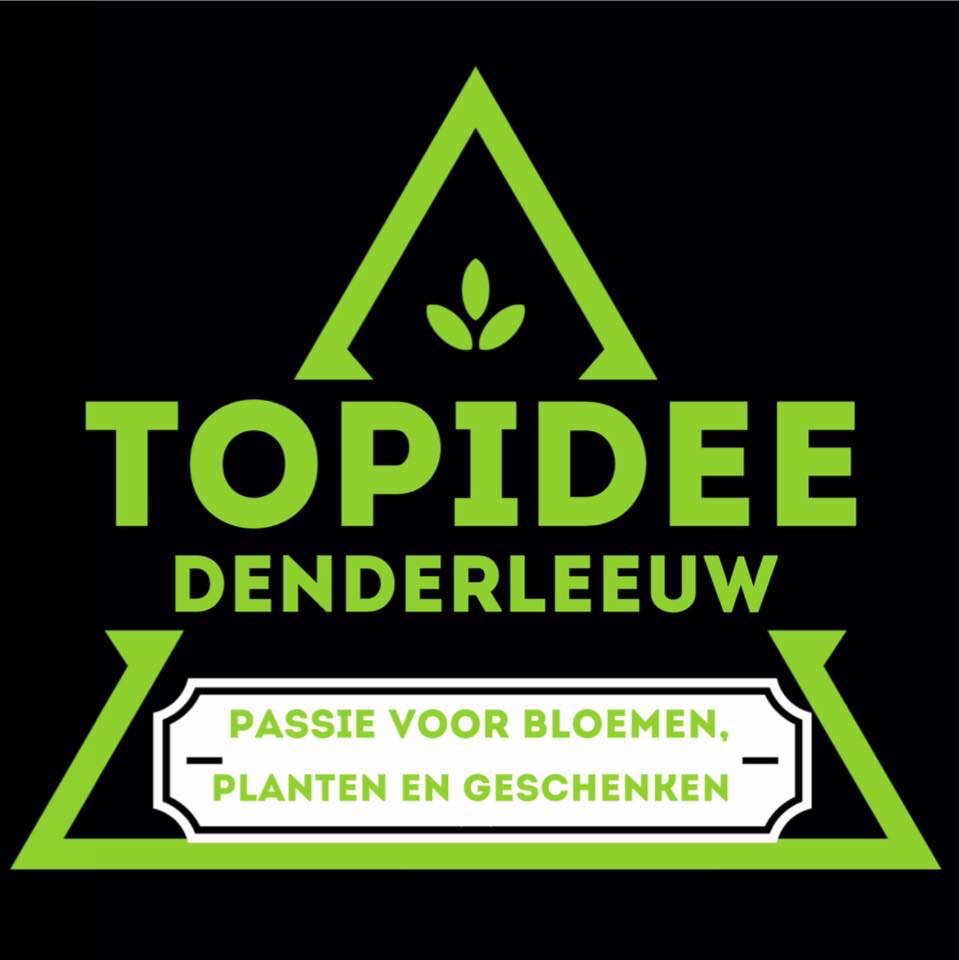 Topidee Denderleeuw Denderleeuw