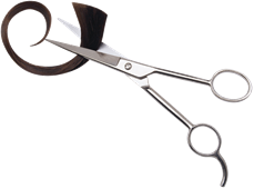 Kapsalon Chantal Asse