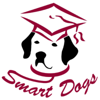 Smart Dogs vzw Houtem