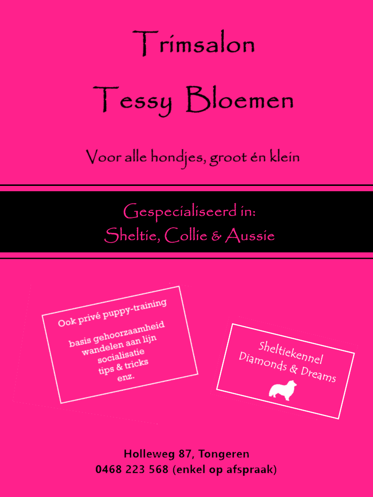 Trimsalon Tessy Tongeren