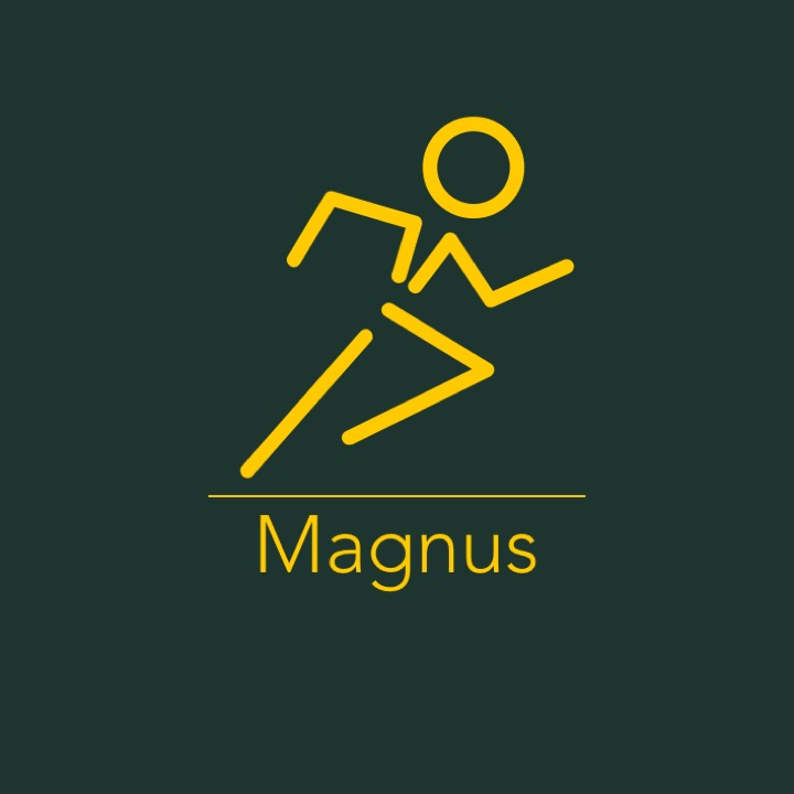 Magnus Kinesitherapie Leuven Leuven